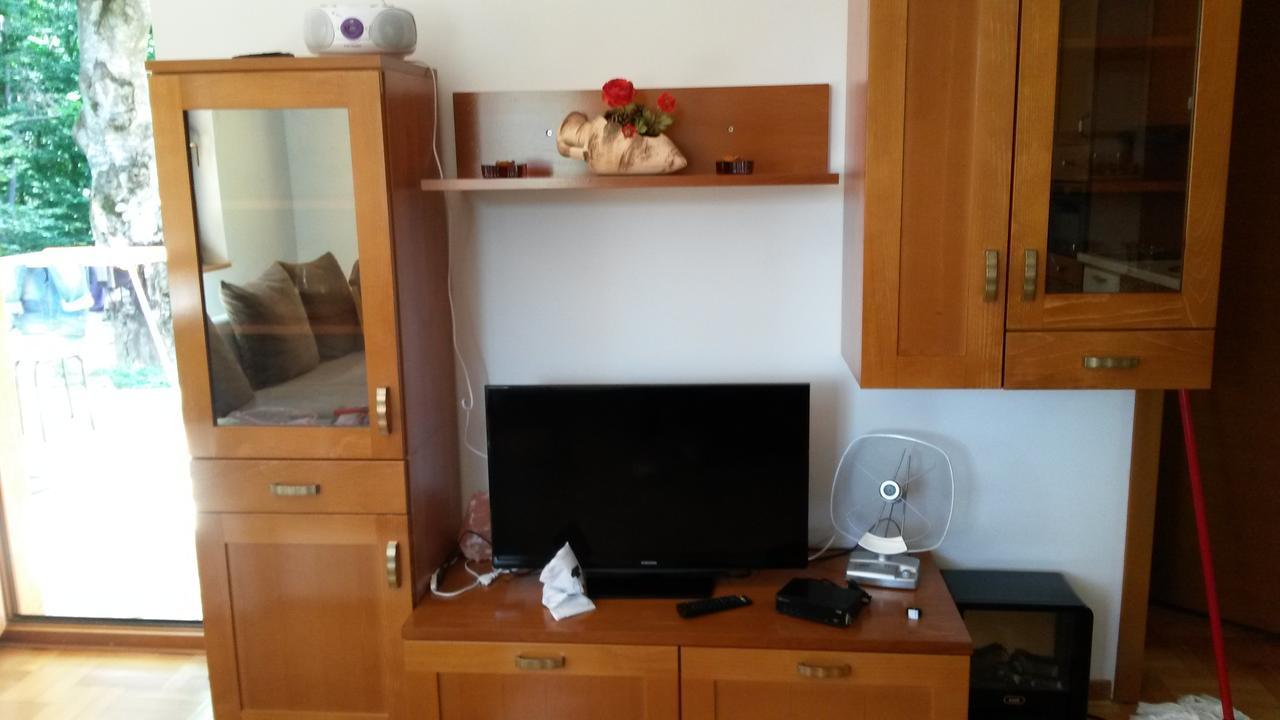 Apartment Joksimovic Zlatibor Kültér fotó