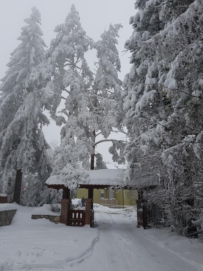 Apartment Joksimovic Zlatibor Kültér fotó